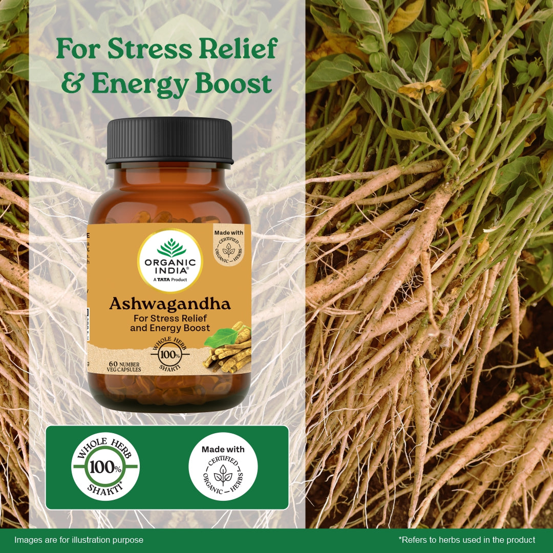 Ashwagandha Capsules