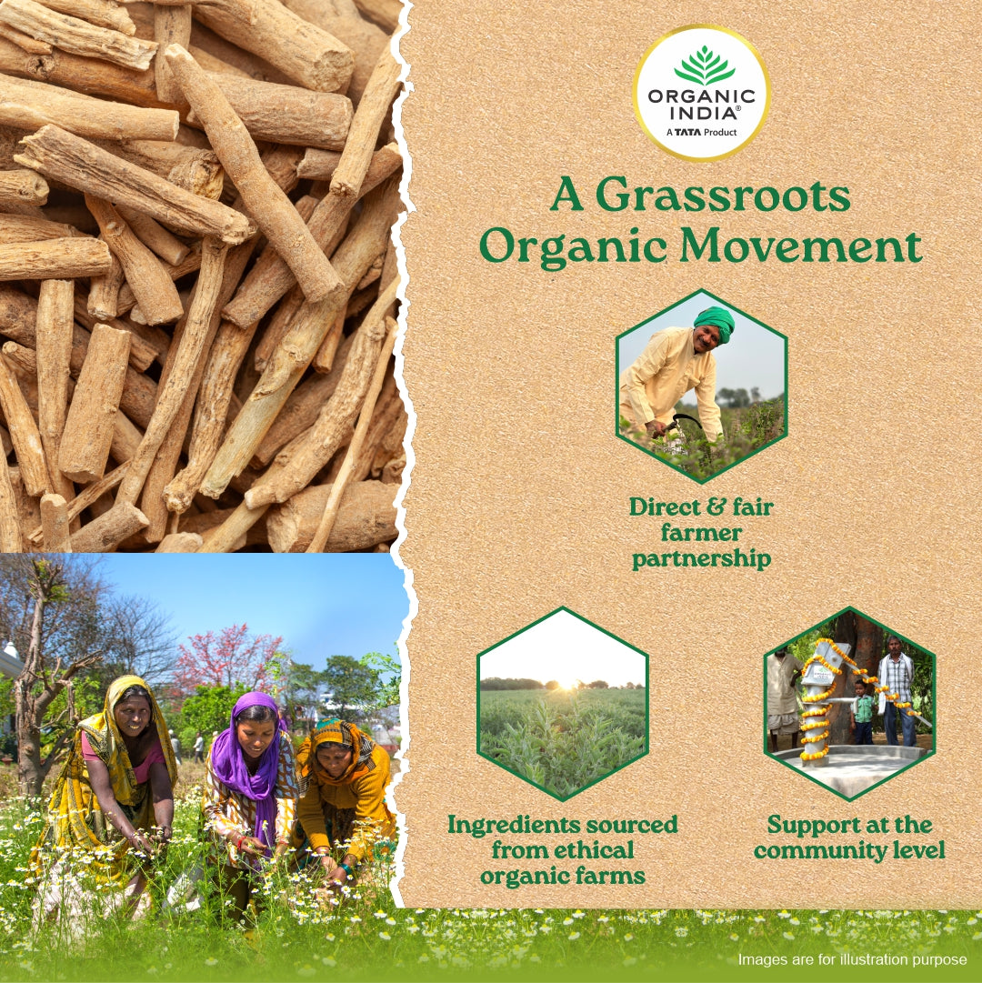 Ashwagandha Capsules